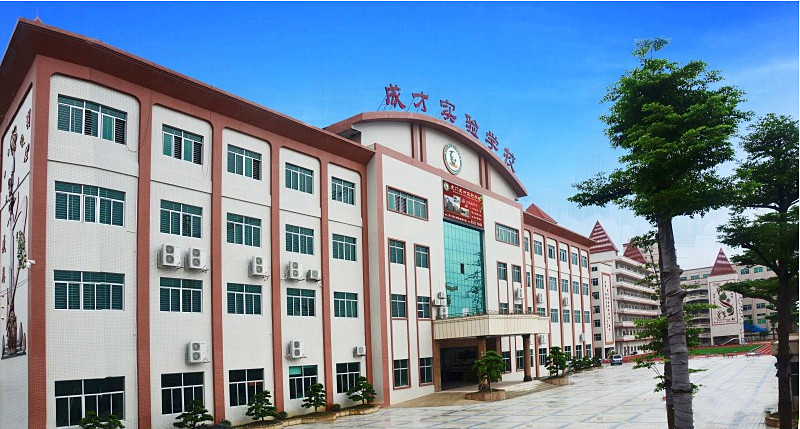 虎門成才實(shí)驗(yàn)學(xué)校加固工程